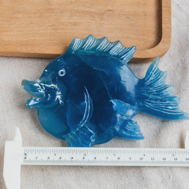 Blue Onyx Fish