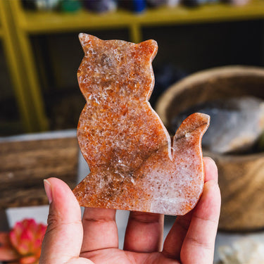 Orange Chalcedony  Cat Slice