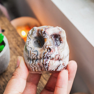 Mexico Agate Jack Skull