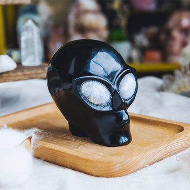 Black Obsidian Alien Skull With Moonstone Eyes