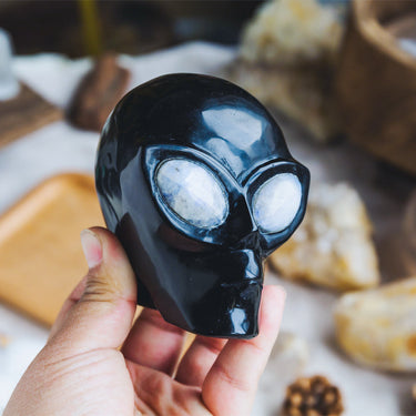 Black Obsidian Alien Skull With Moonstone Eyes