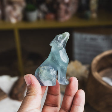 Fluorite Wolf