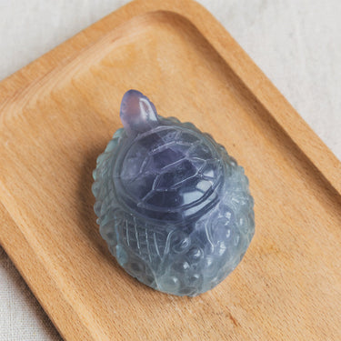 Fluorite Turtle