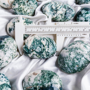 Tree Agate Palm Stone