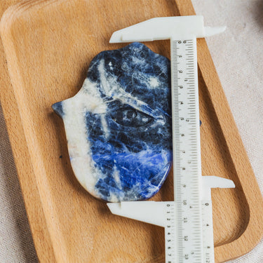 Sodalite Palm