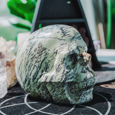 5" Dendritic Agate Skull