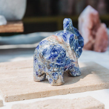 3" Sodalite Elephant