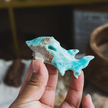 Blue Aragonite Shark