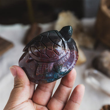 Ocean Jasper turtle