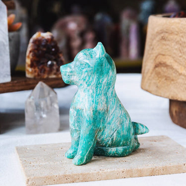 Amazonite Husky Dog