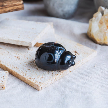 Silver Sheen Obsidian Beetle