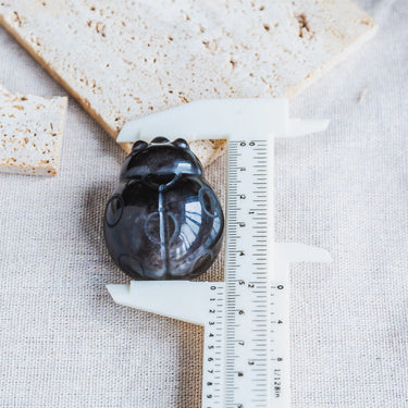 Silver Sheen Obsidian Beetle