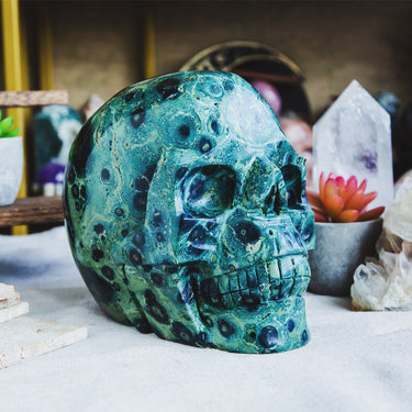 6" Kambaba Skull