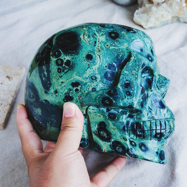 6" Kambaba Skull