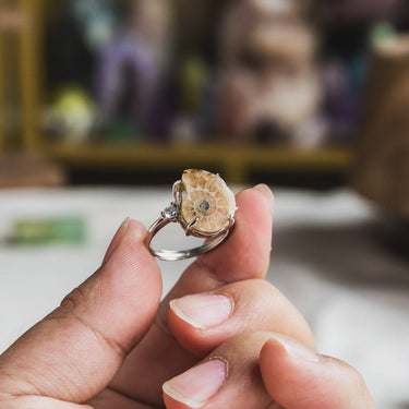 Fossil Snail Ring