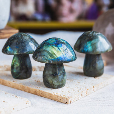 Labradorite Mushroom