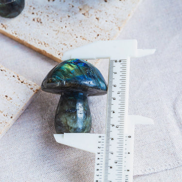 Labradorite Mushroom