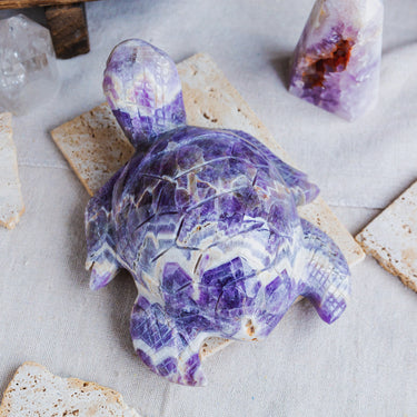 Dream Amethyst Turtle