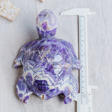 Dream Amethyst Turtle