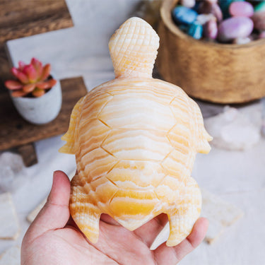 Banding Orange Calcite Turtle