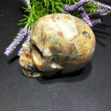 Crazy Lace Agate Skull