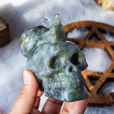 Labradorite snail skull