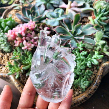 Crystal human heart